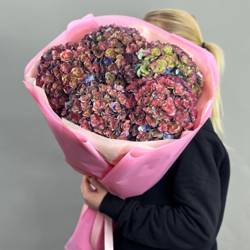 Букет из 5 космических Голландских гортензий в Ногинске